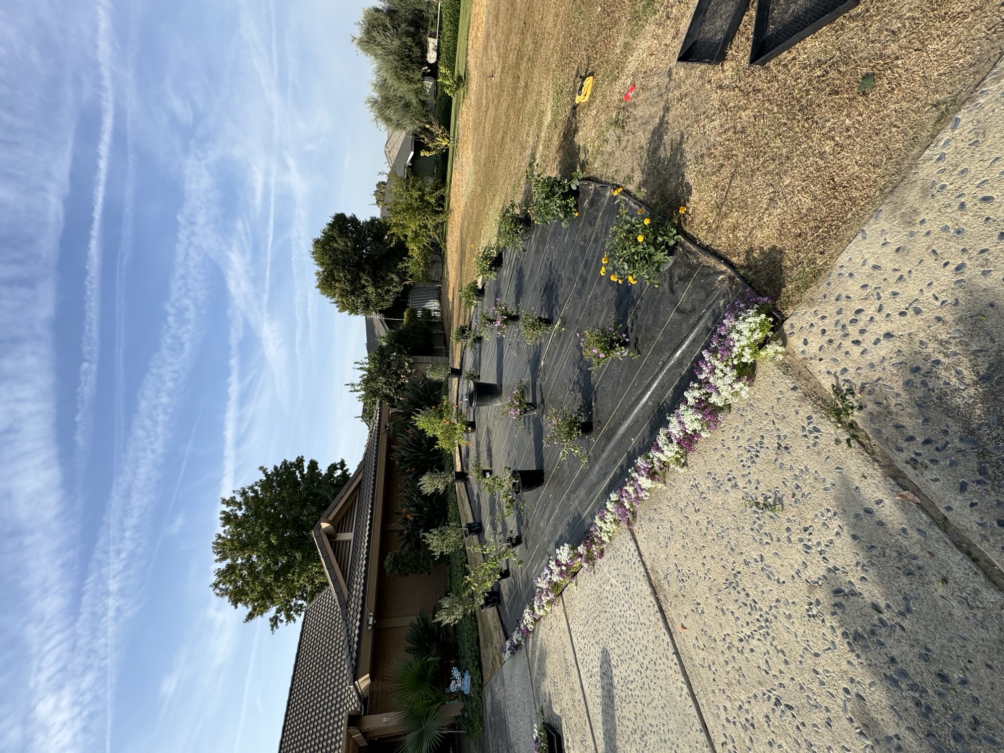 Parkway planting strip