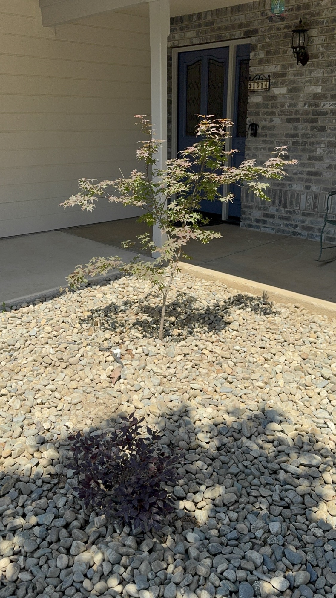 Front entry planting