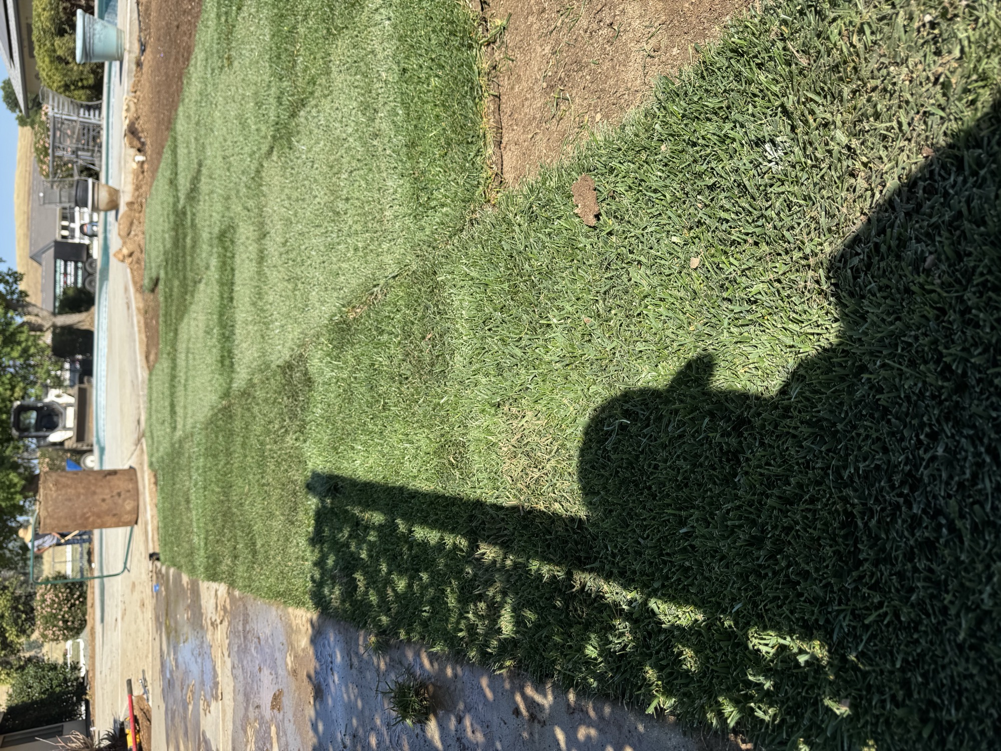 Fresh sod install