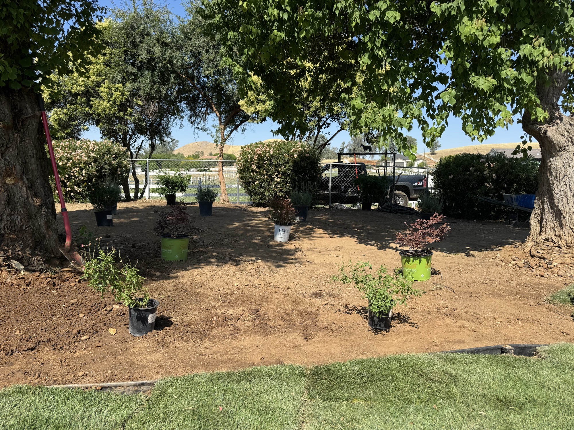 Tree planting and grade work