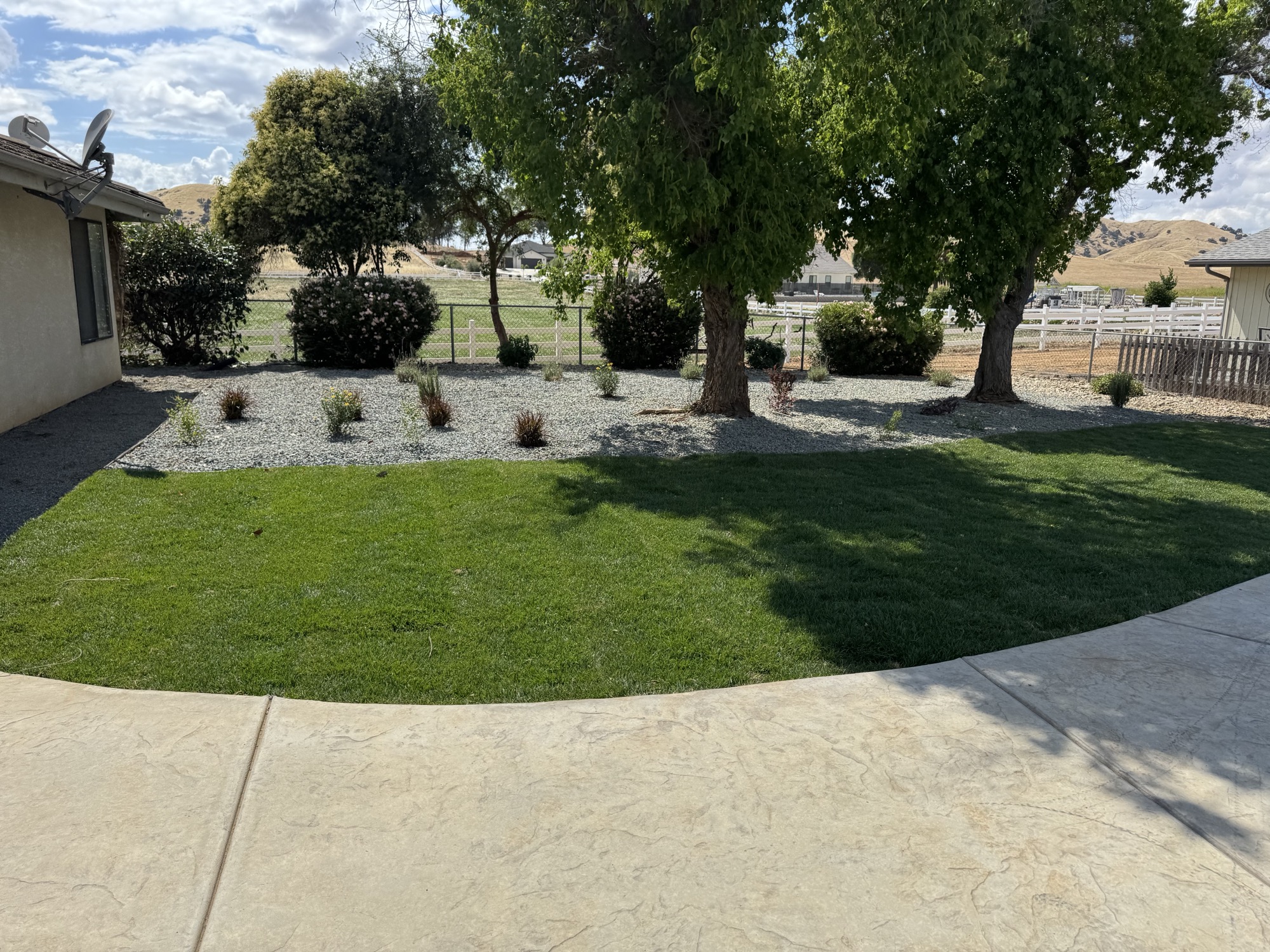 Curved lawn and planting beds