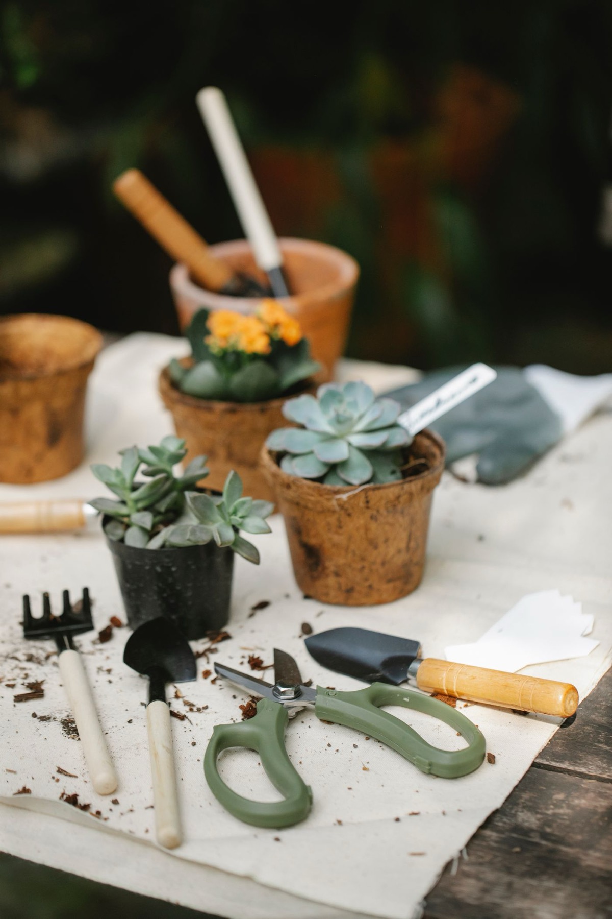 Garden Supplies